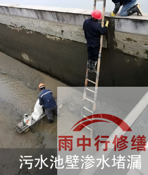 宜昌2026年防水龙头半月两次涨价，行业格局重塑信号