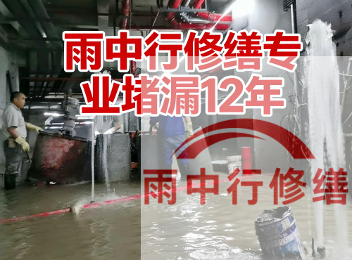 宜昌中国五矿某大型污水处理厂堵漏案例